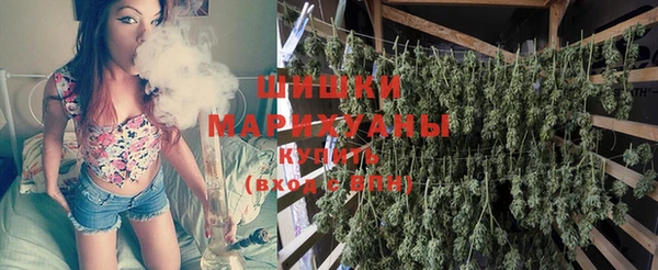 дмт Богородицк