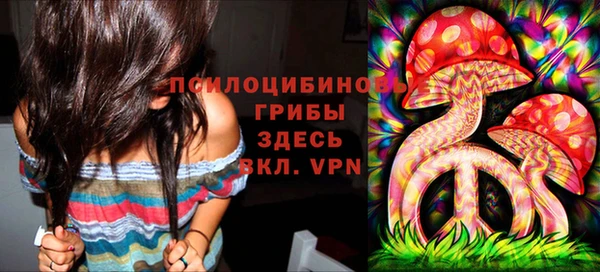 mdma Богданович
