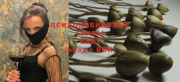 дмт Богородицк