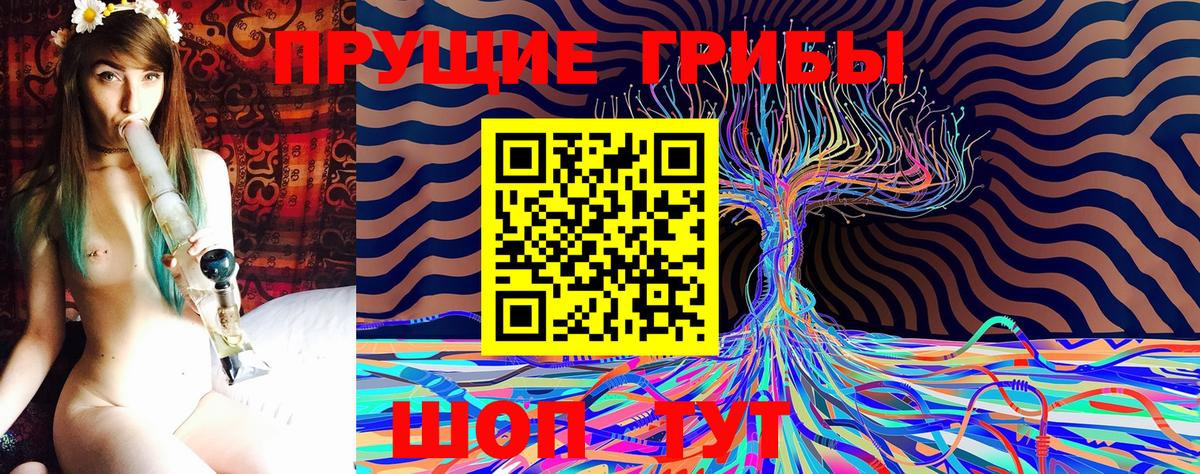 Галлюциногенные грибы Psilocybe  Вход с VPN  Городец 